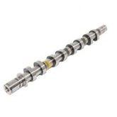 Sandero Eksantrik Mili